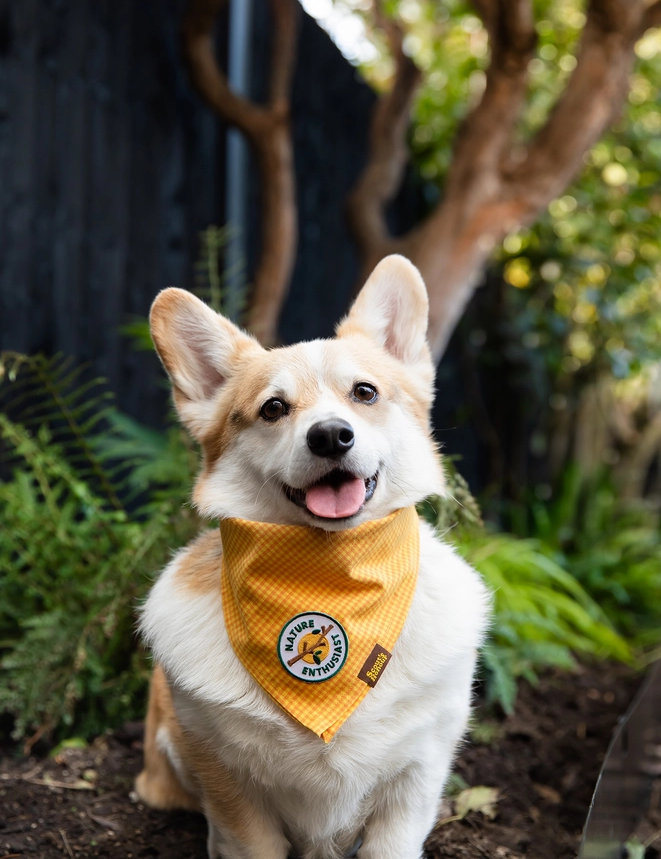 Badge thermocollant pour chien "Nature entousiast"-Patch et badges-Scoot's Honor-Muzon