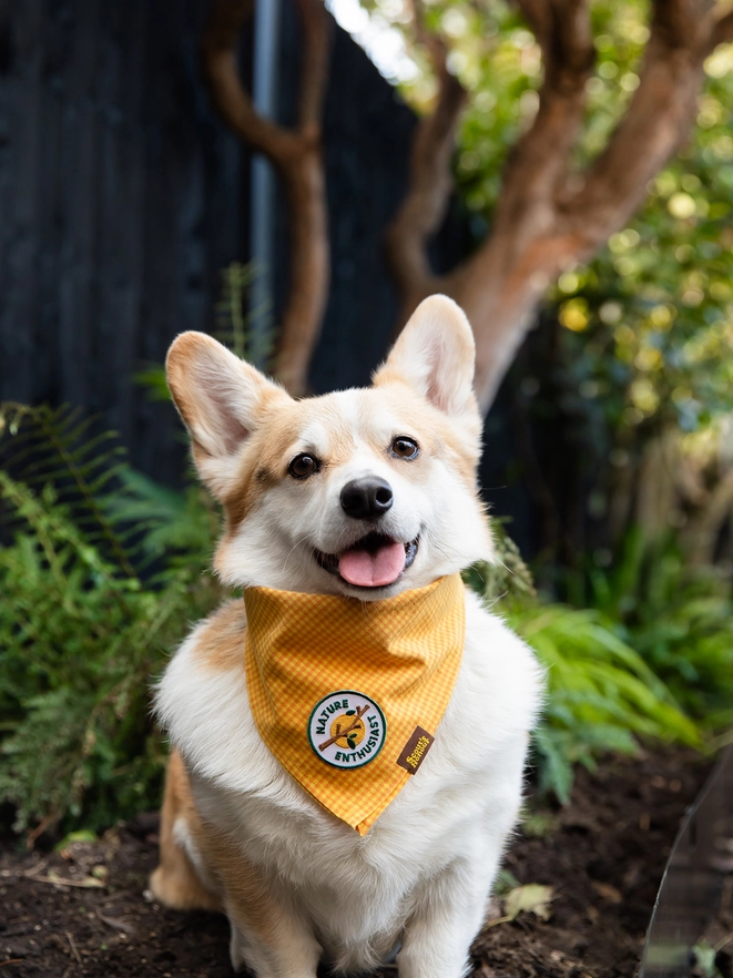Badge thermocollant pour chien "Nature entousiast"-Patch et badges-Scoot's Honor-Muzon