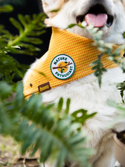Badge thermocollant pour chien "Nature entousiast"-Patch et badges-Scoot's Honor-Muzon