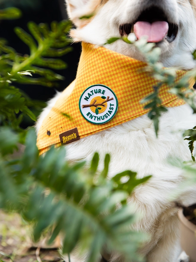 Badge thermocollant pour chien "Nature entousiast"-Patch et badges-Scoot's Honor-Muzon