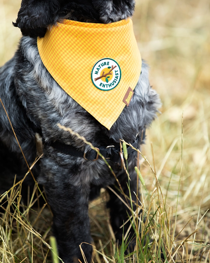 Badge thermocollant pour chien "Nature entousiast"-Patch et badges-Scoot's Honor-Muzon