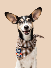 Badge thermocollant pour chien "Sock thief"-Patch et badges-Scoot's Honor-Muzon