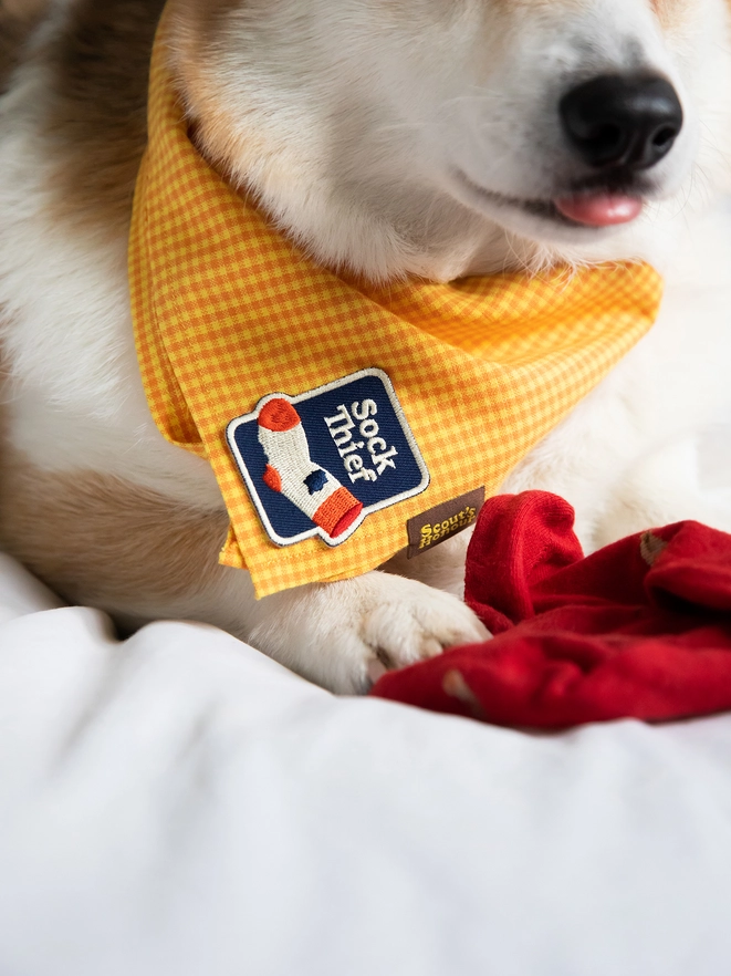 Badge thermocollant pour chien "Sock thief"-Patch et badges-Scoot's Honor-Muzon