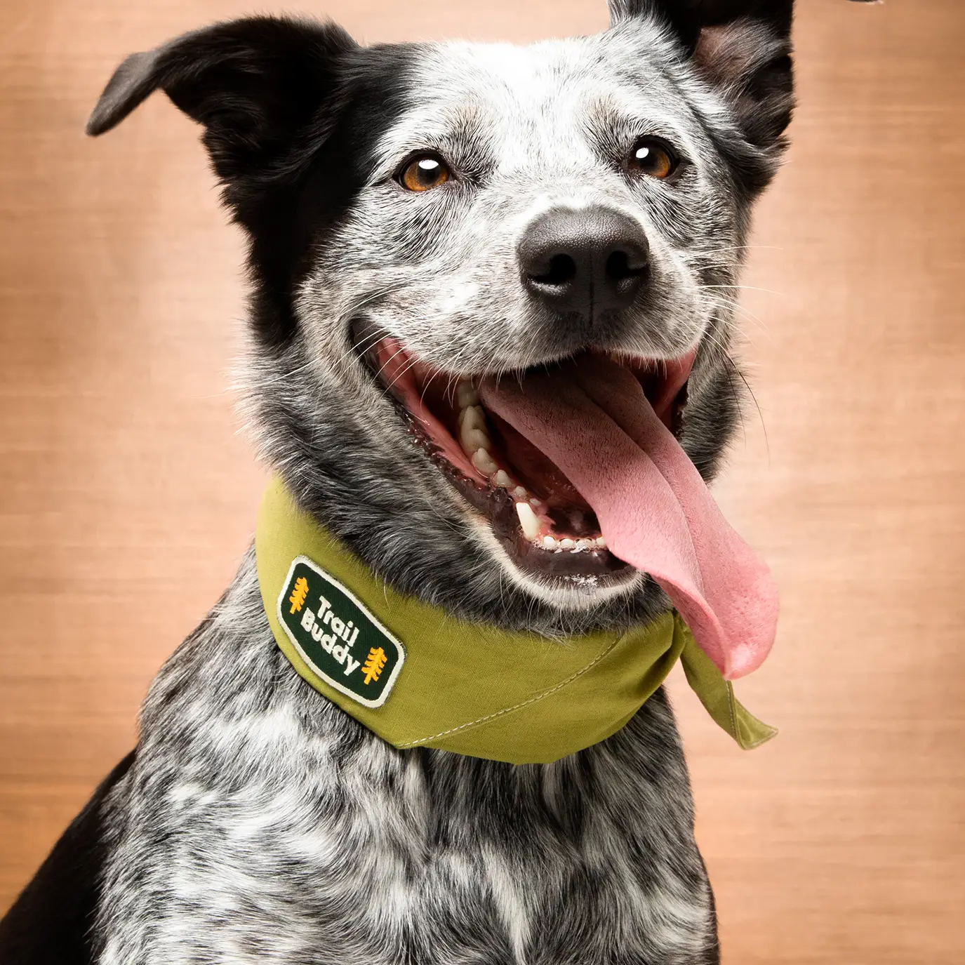 Badge thermocollant pour chien "Trail Buddy"-Patch et badges-Scoot's Honor-Muzon