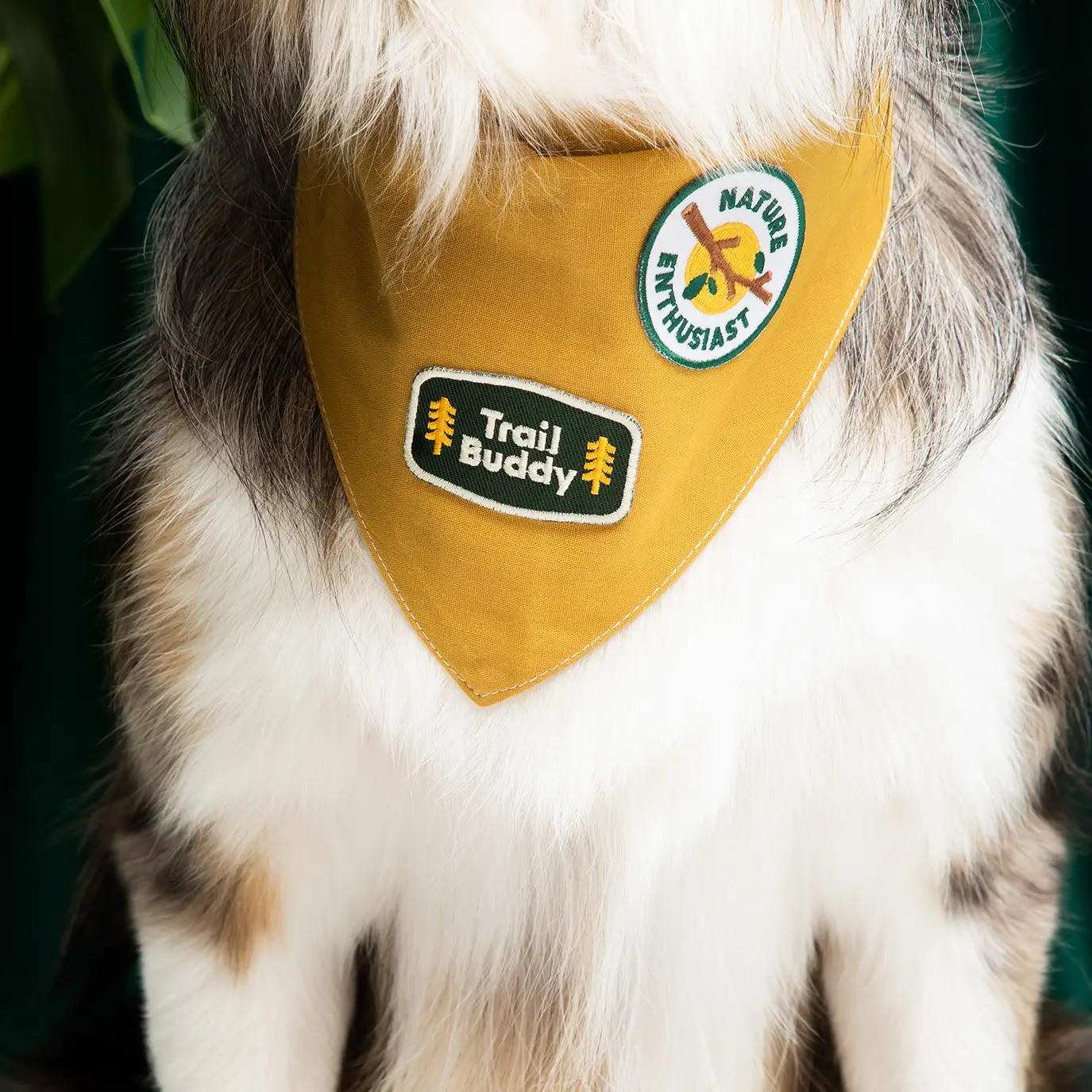 Badge thermocollant pour chien "Trail Buddy"-Patch et badges-Scoot's Honor-Muzon