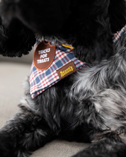 Badge thermocollant pour chien "Tricks for treats"-Patch et badges-Scoot's Honor-Muzon