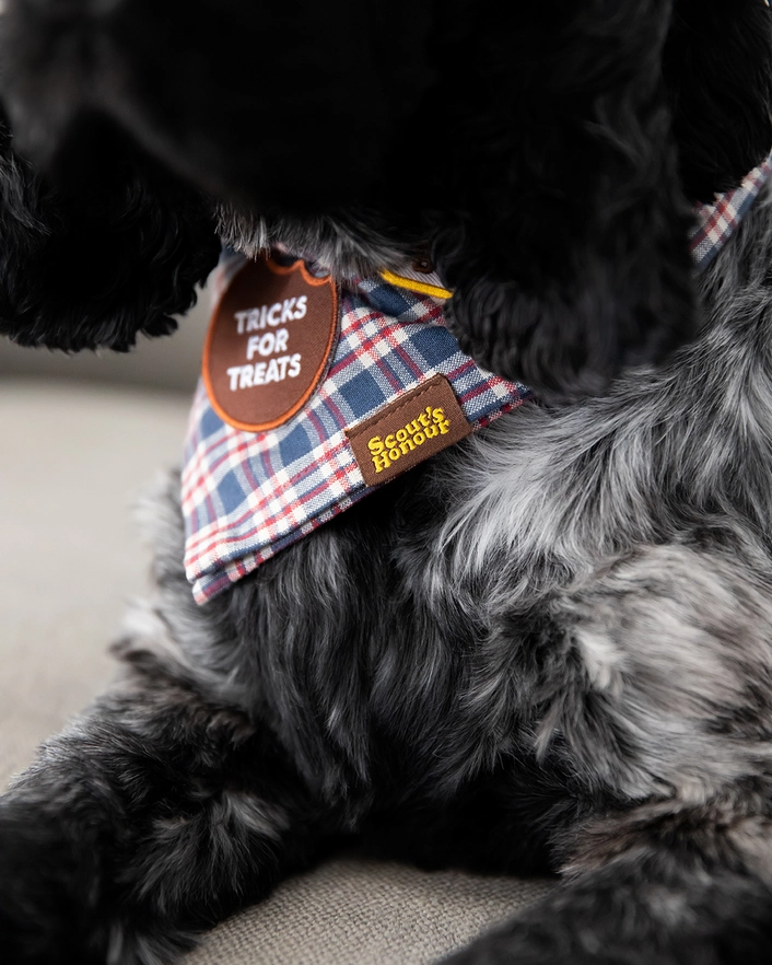 Badge thermocollant pour chien "Tricks for treats"-Patch et badges-Scoot's Honor-Muzon