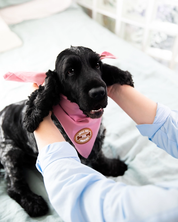 Badge thermocollant pour chien "Will seat for snacks"-Patch et badges-Scoot's Honor-Muzon