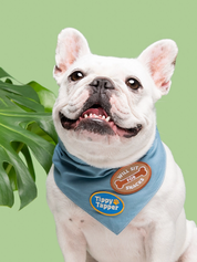 Badge thermocollant pour chien "Will seat for snacks"-Patch et badges-Scoot's Honor-Muzon
