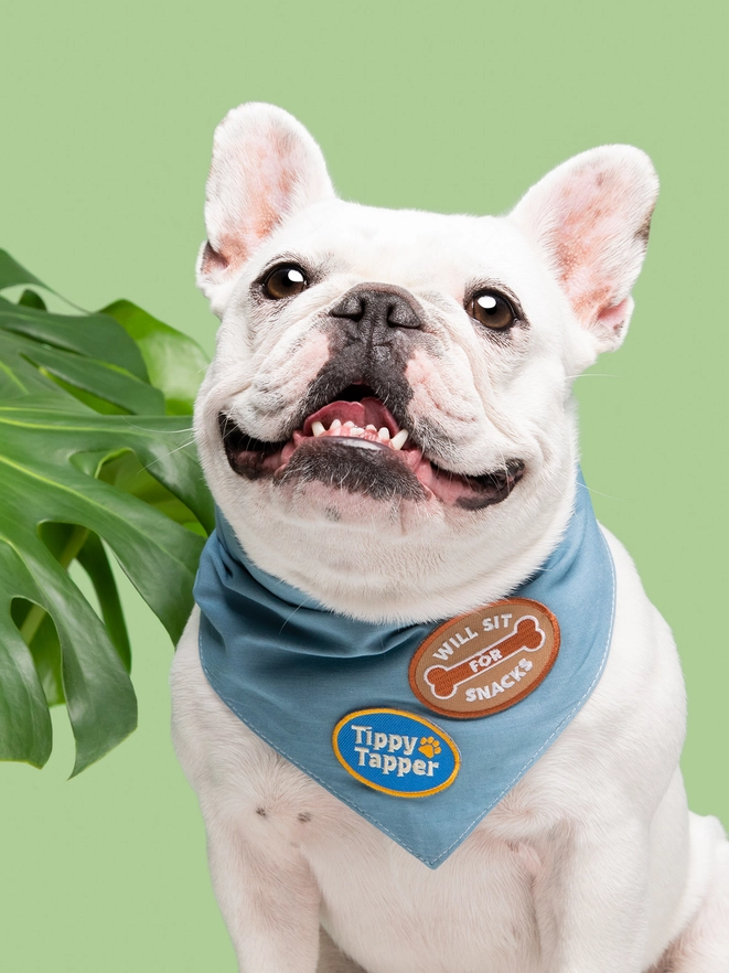 Badge thermocollant pour chien "Will seat for snacks"-Patch et badges-Scoot's Honor-Muzon