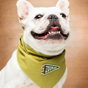 Badge thermocollant pour chien "Zoomies"-Patch et badges-Scoot's Honor-Muzon