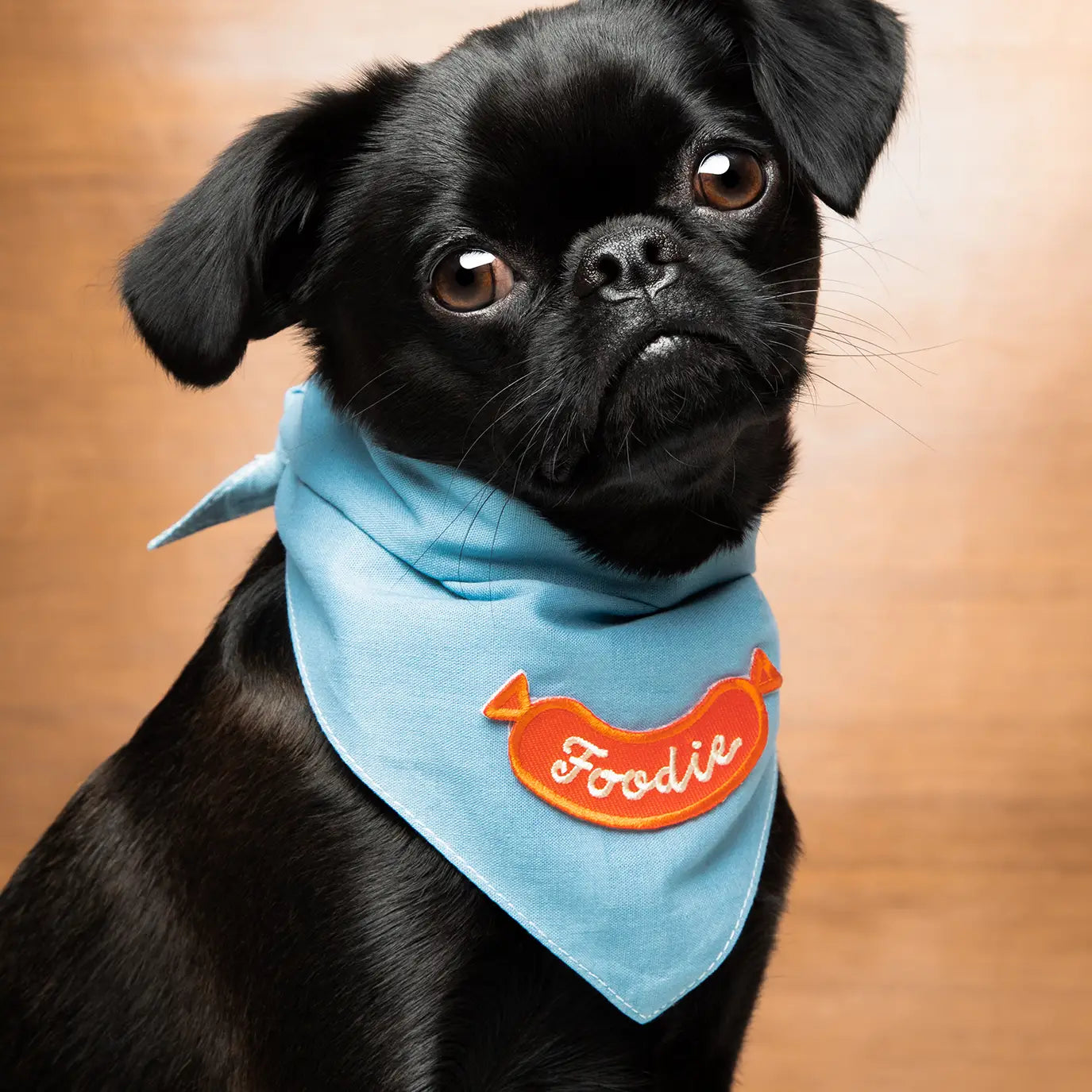 badgetermocollantchiensetchatsfoodie2.webp