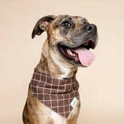 Bandana pour chien - Stratford