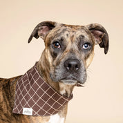 Bandana pour chien - Stratford