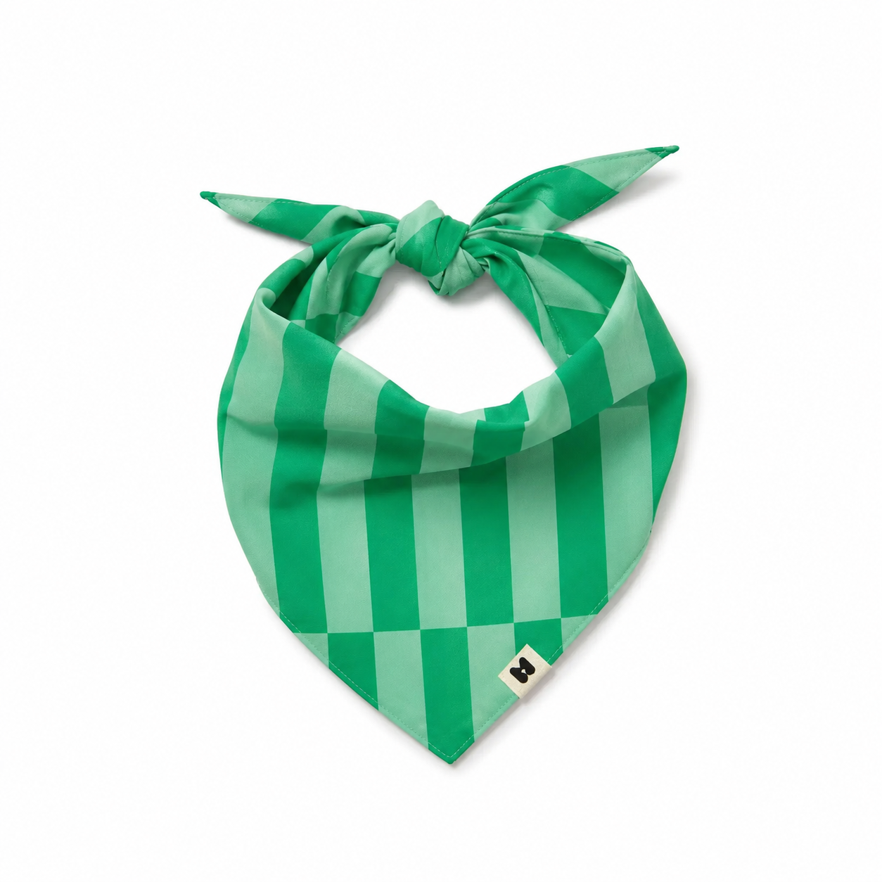 bandana-muzon.png