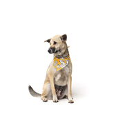 Bandana chien - Motifs chiens sur fond jaune