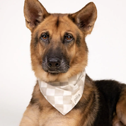 Bandana pour chien - Damier beige