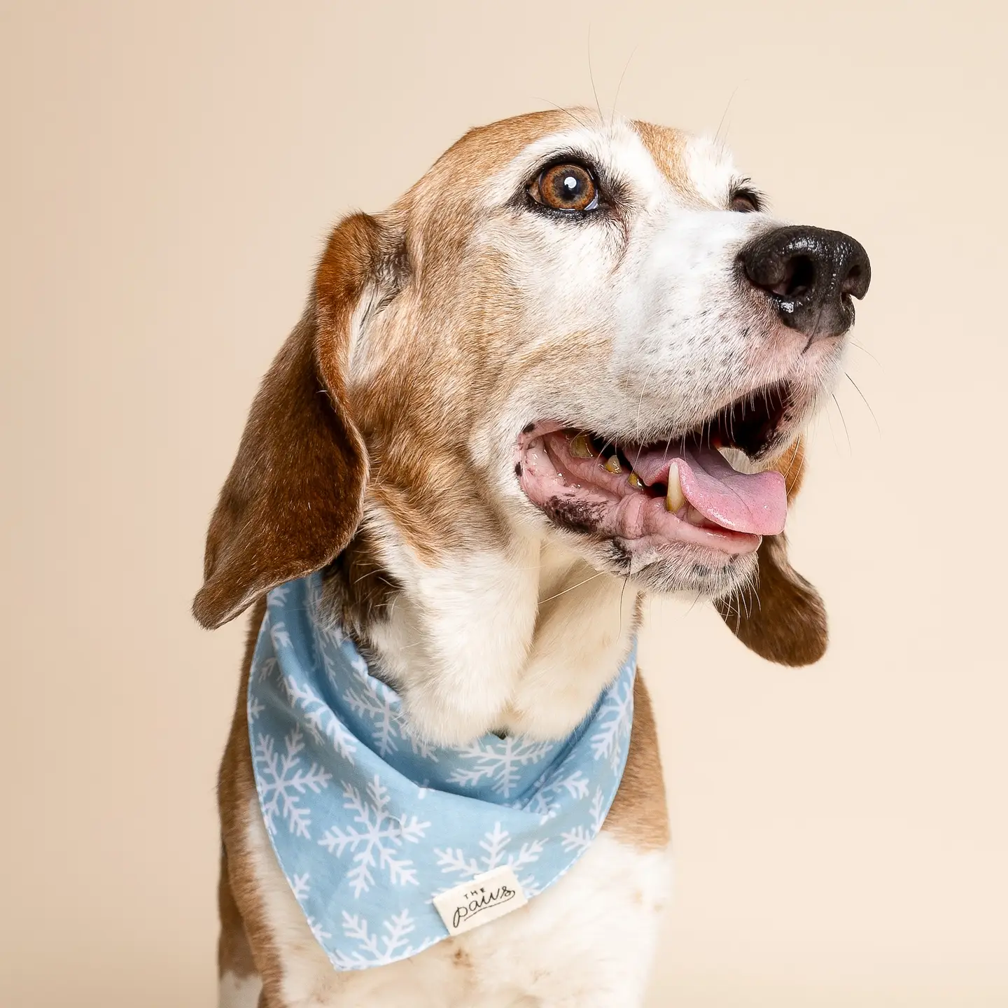 Bandana pour chien - Flocons de neige