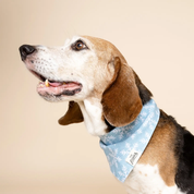 Bandana pour chien - Flocons de neige
