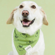 Bandana pour chien - Grinch