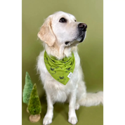 Bandana pour chien - Grinch