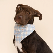 Dog bandana - Harlowe