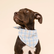 Dog bandana - Harlowe