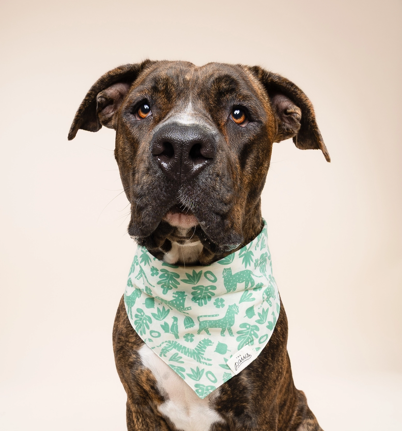 Bandana pour chien - Sauvage