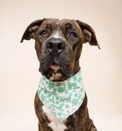 Bandana pour chien - Sauvage