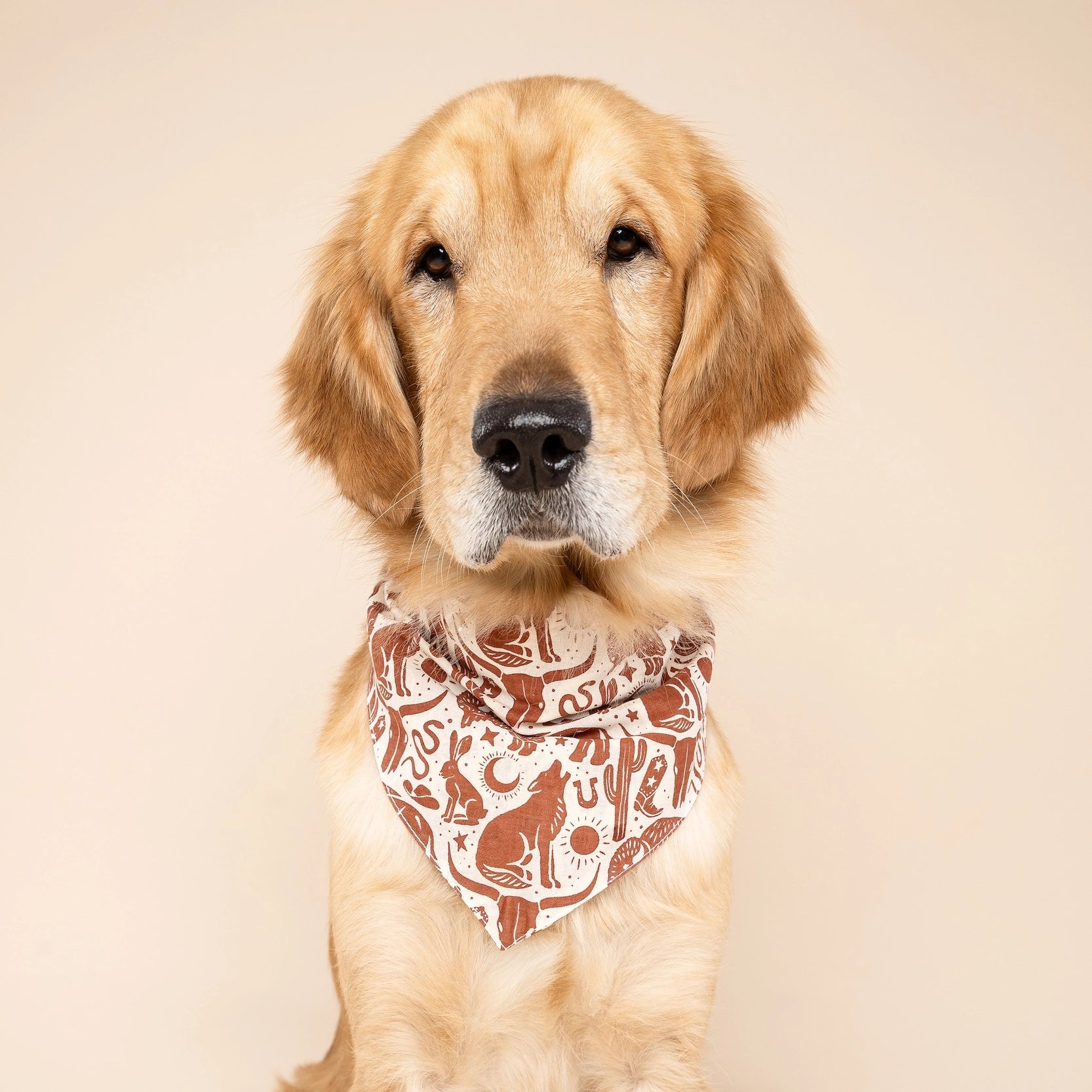 Bandana pour chien - Sauvage marron