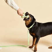 Gummispielzeug – Grüner Hund