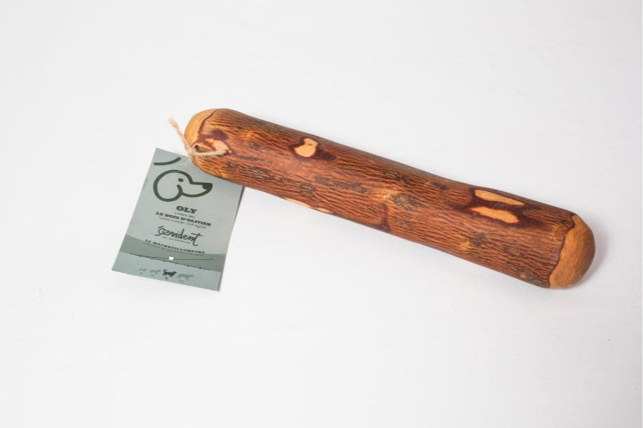 Bois d'olivier - Mastication naturelle