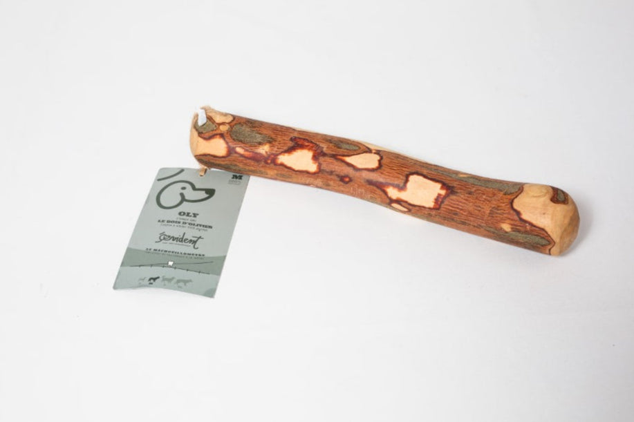 Bois d'olivier - Mastication naturelle