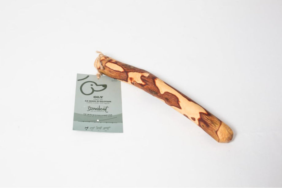 Bois d'olivier - Mastication naturelle