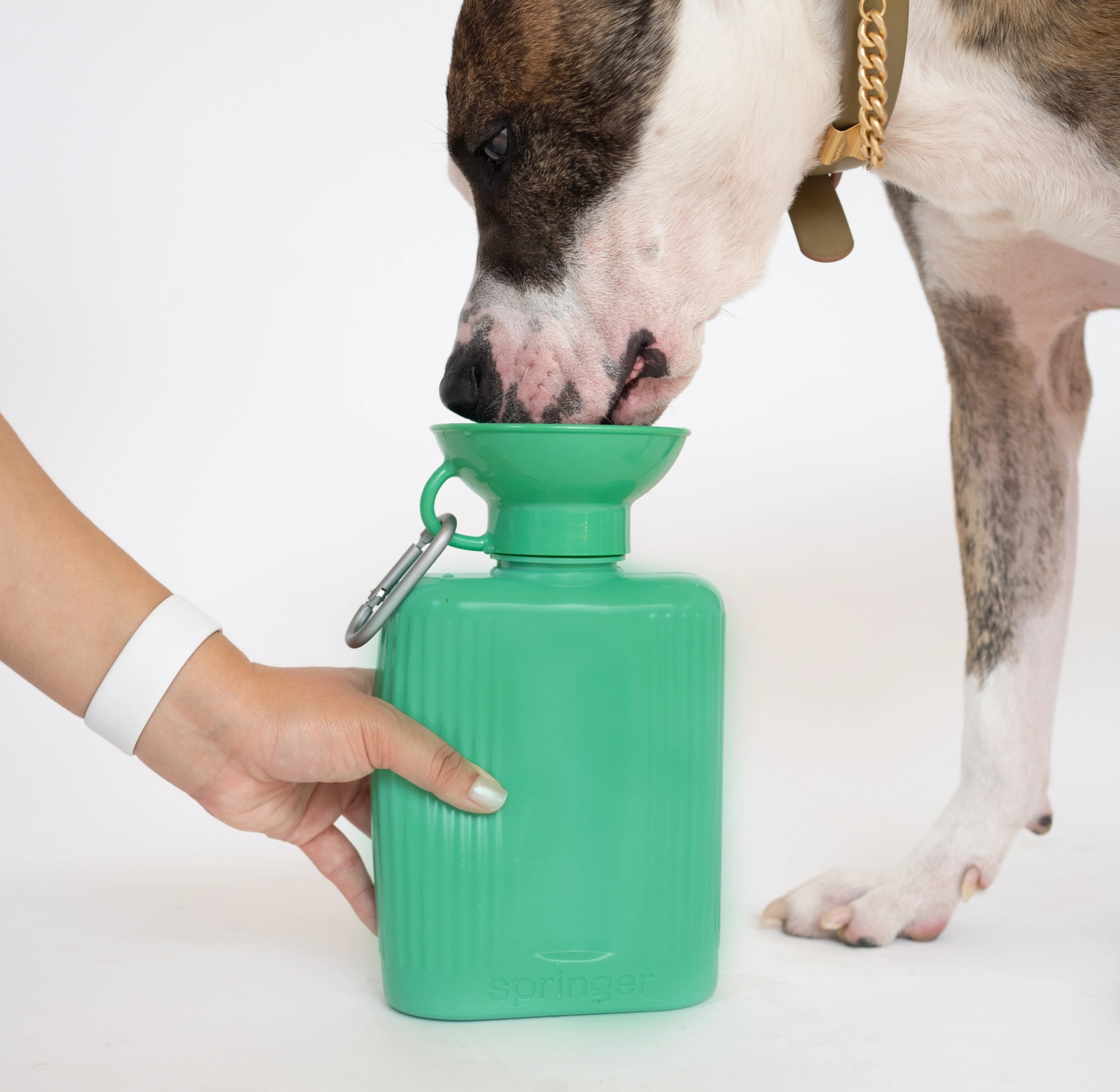 Bouteille de voyage - Vert-Gourdes et gamelles de voyage-Springer-Muzon