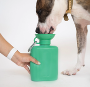 Bouteille de voyage - Vert-Gourdes et gamelles de voyage-Springer-Muzon