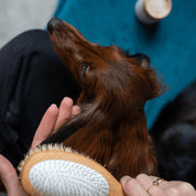 Doppelseitige Bürste für lang- und mittellanghaarige Hunde