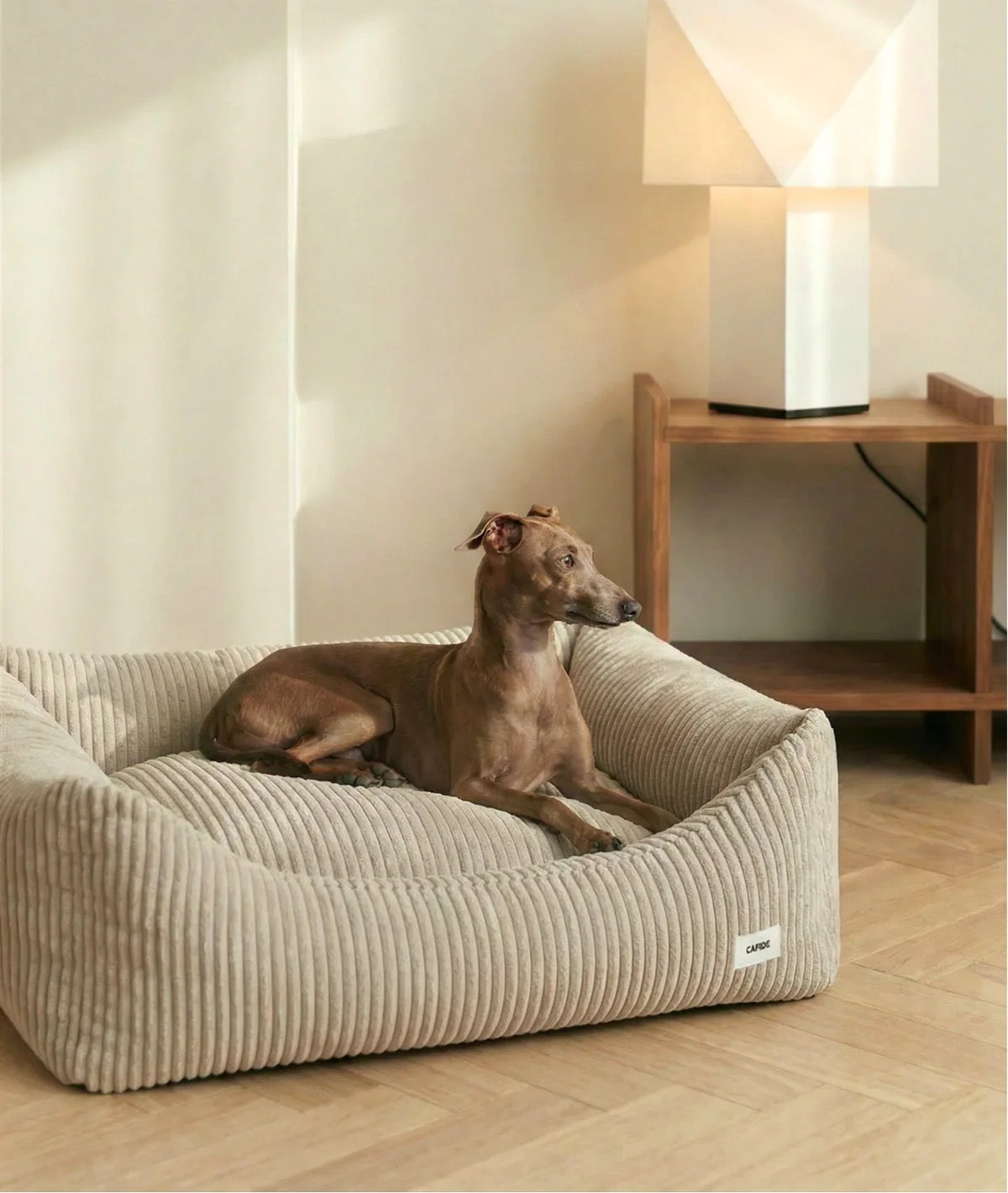 Canapé pour chien en velours côtelé - Beige