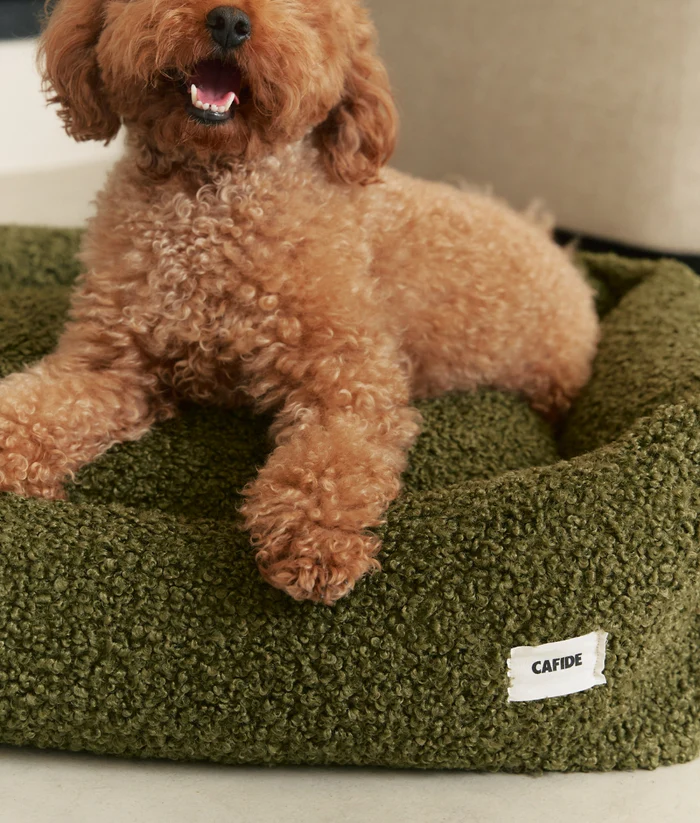 Canapé pour chien en moumoute - Vert