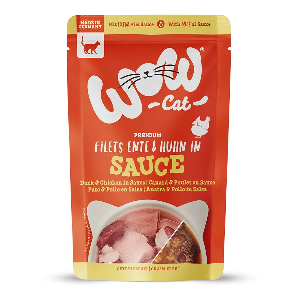canardetpouletensauce1.webp