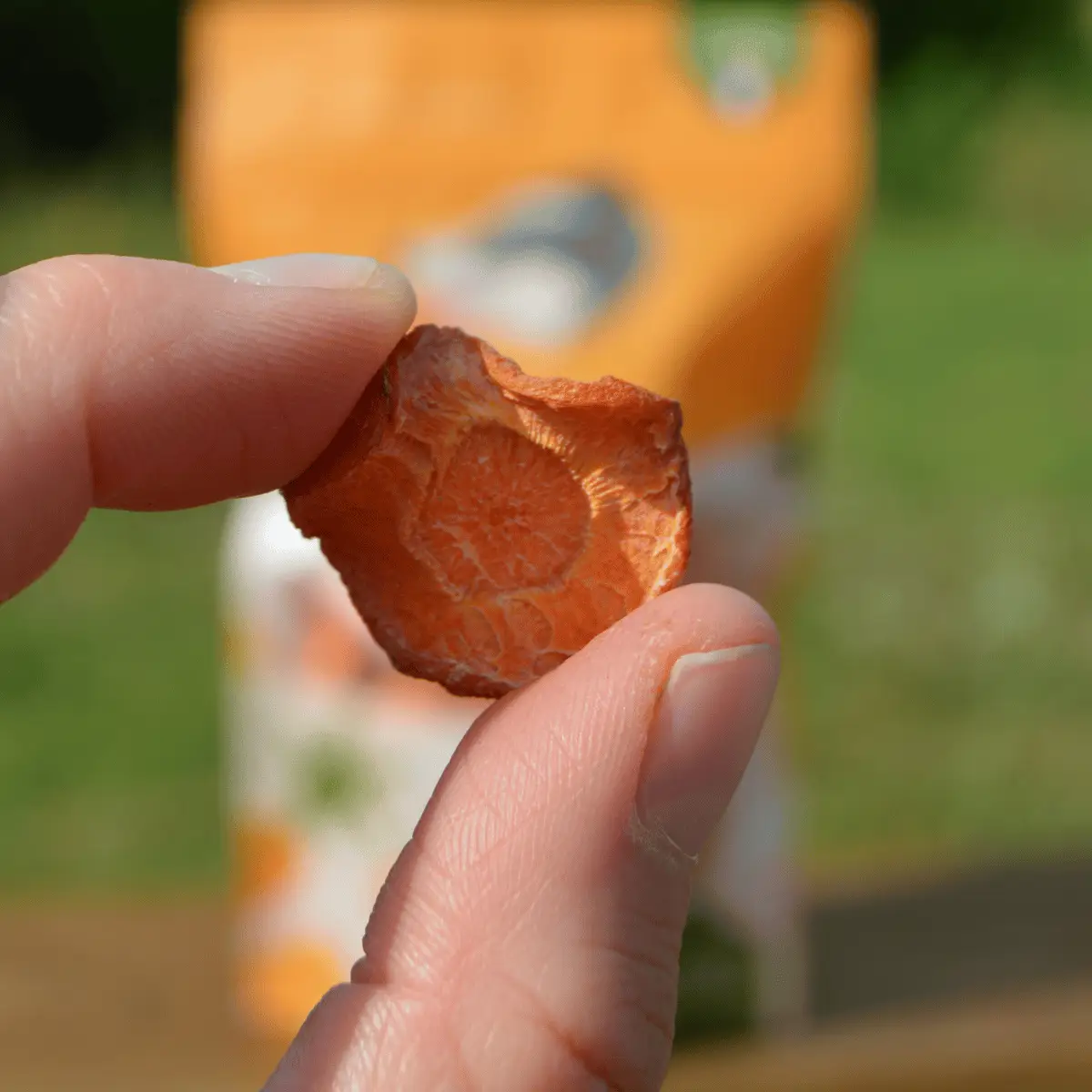 Friandise pour chien Carottes séchées - Fin Museau | Muzon