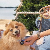 Schlüsselanhänger-Set mit Hundemarke – Bester Freund