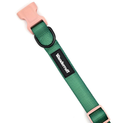 Collier pour chien vert Lola | Muzon 