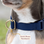 Collier pour chien - Olive-Harnais-Awoo-Muzon