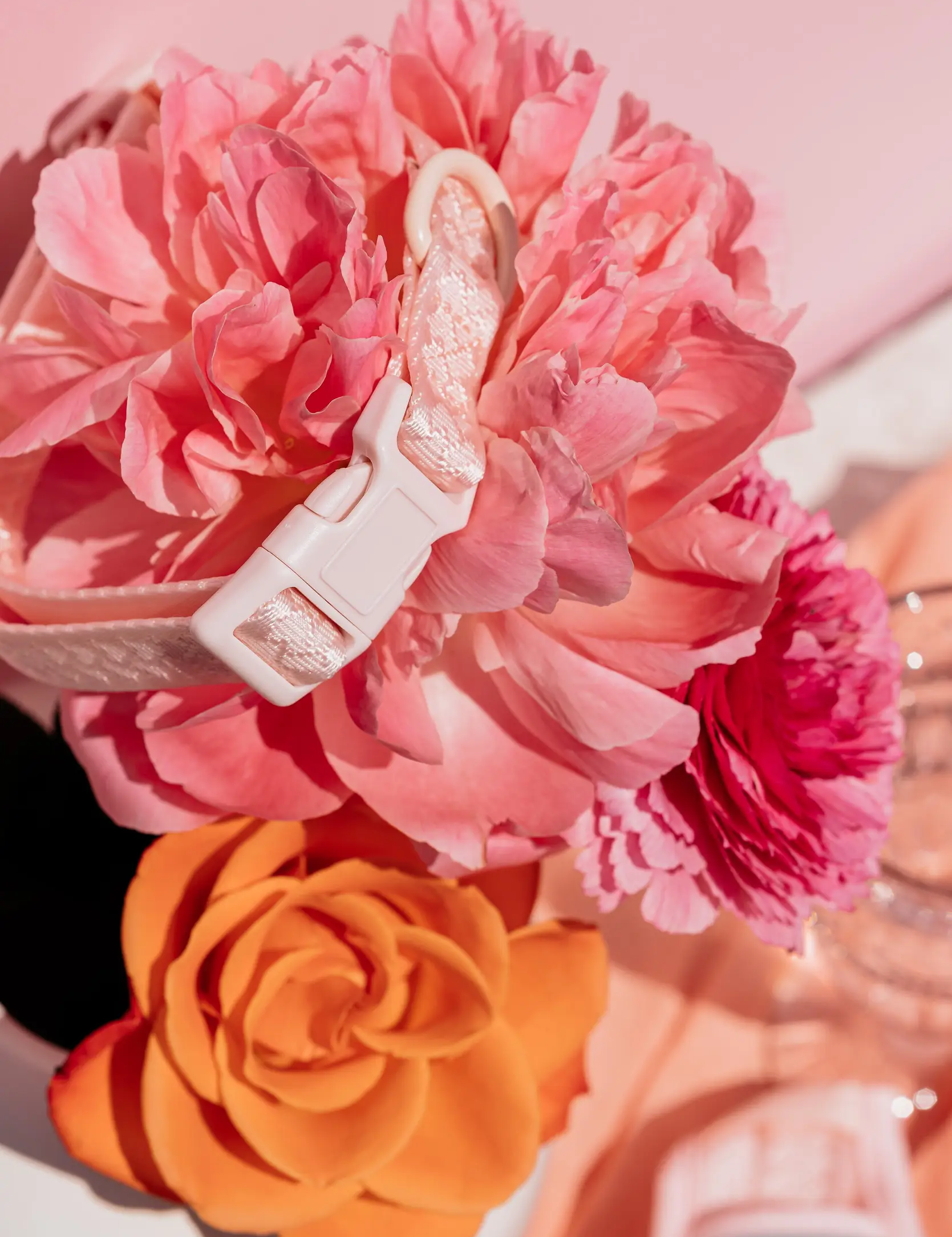 Collier - Sorbet-Colliers-Peachy Dog-Muzon