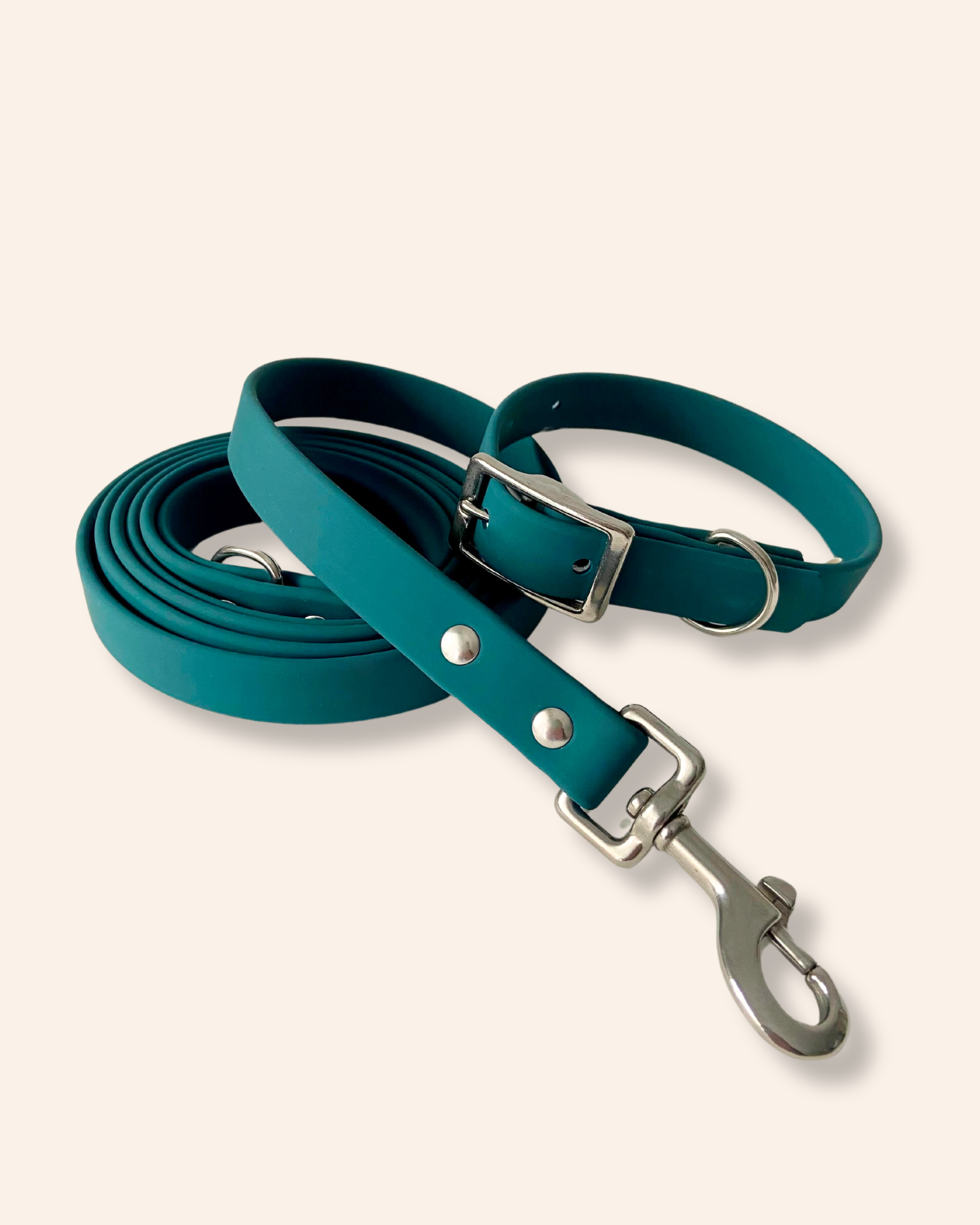 Collier pour chien Vert Muzon - Ploouf | Muzon 