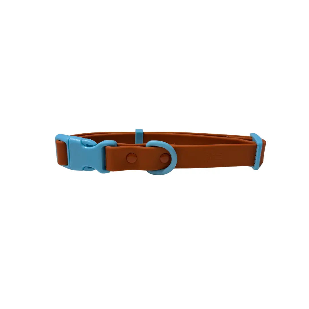 collierpourchiensimpermeablemarronetbleu1.webp