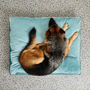 Coussin en velours fait main - Bleu Ciel