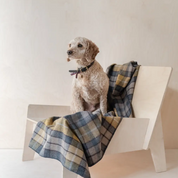 Couverture en laine recyclée - Buchanan Natural Tartan-Couverture-TBCo-Muzon