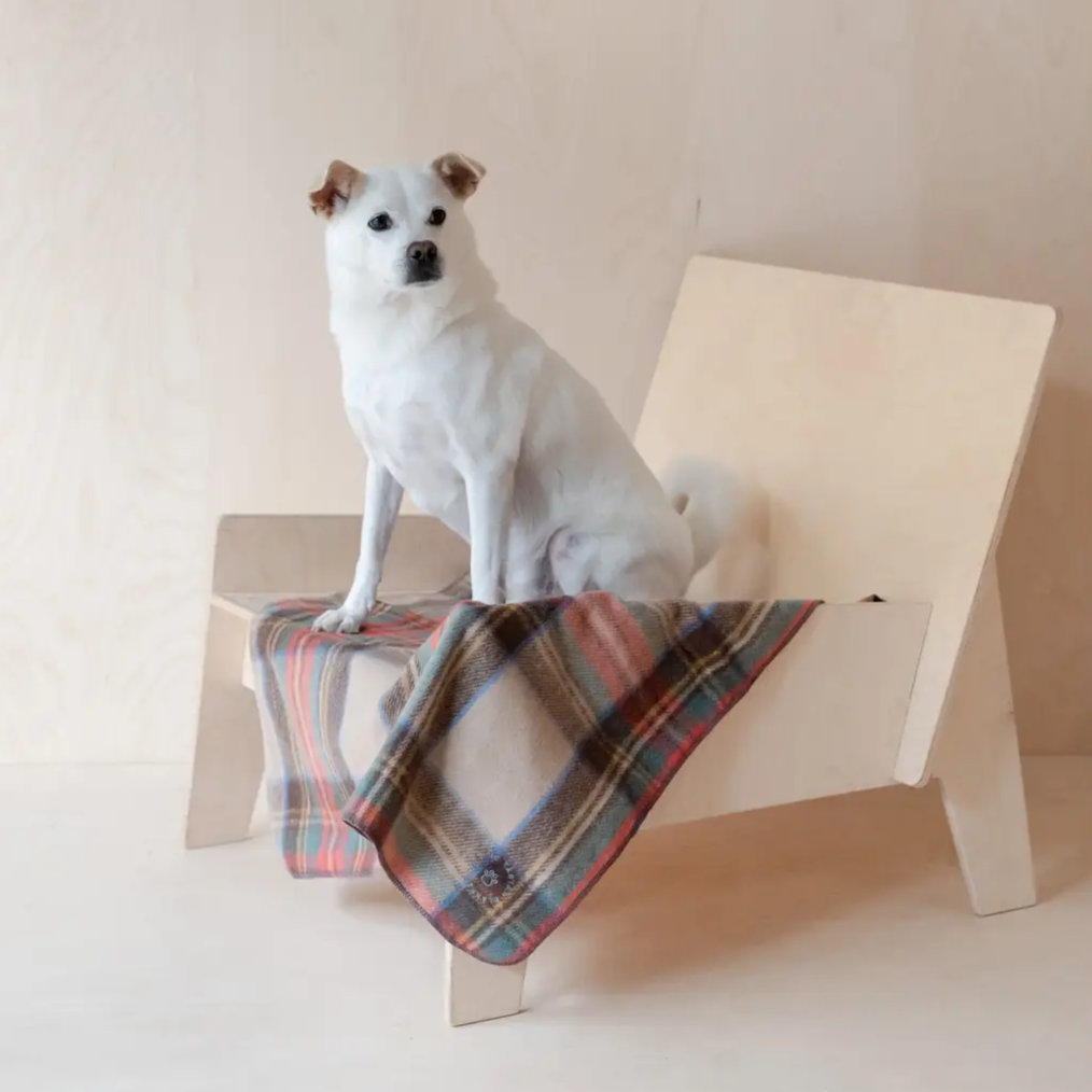 Couverture pour chien en laine recyclée - Stewart Antique | Muzon